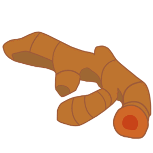 turmeric icon